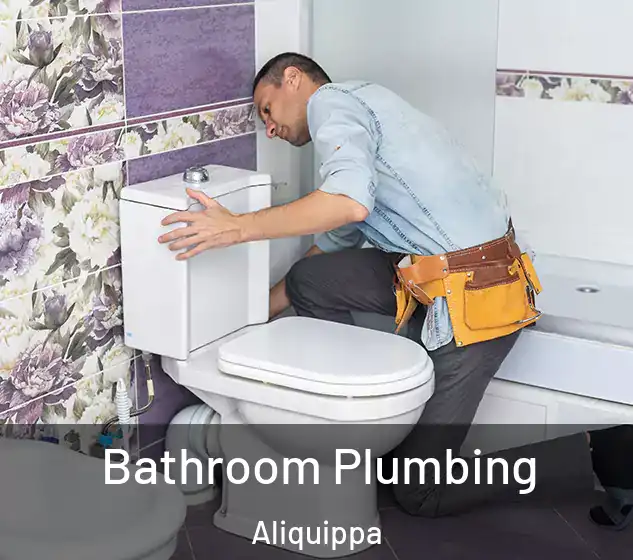  Bathroom Plumbing Aliquippa