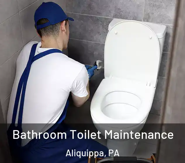  Bathroom Toilet Maintenance Aliquippa, PA