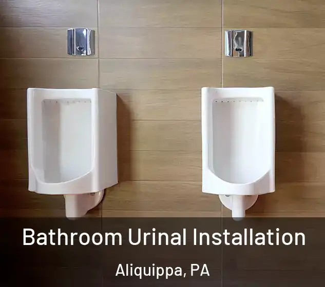 Bathroom Urinal Installation Aliquippa, PA