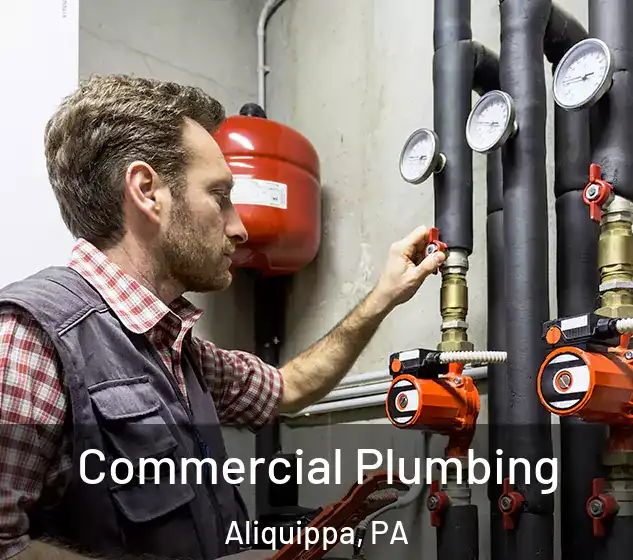  Commercial Plumbing Aliquippa, PA