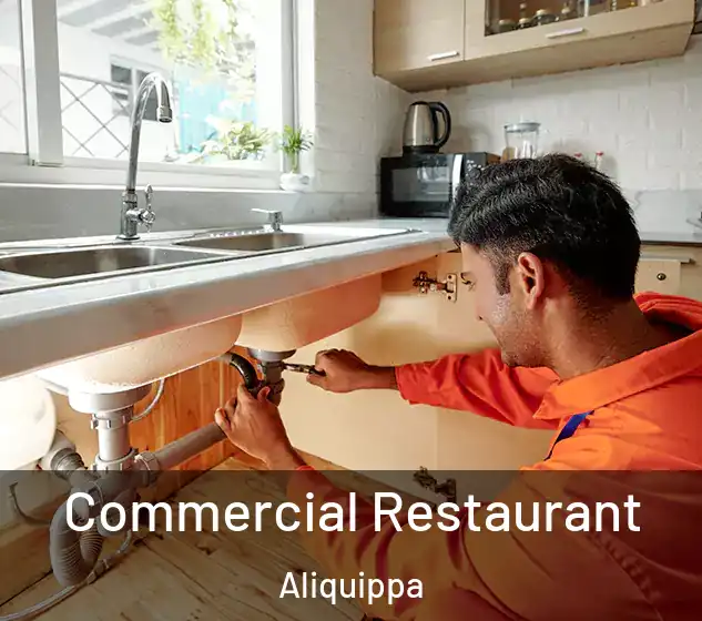  Commercial Restaurant Aliquippa