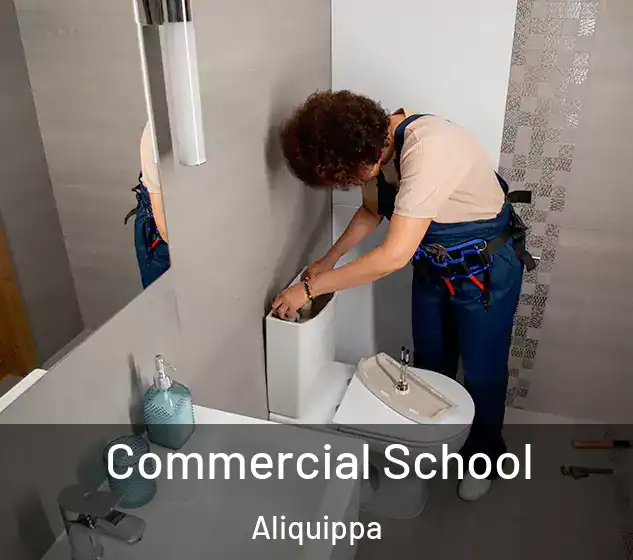  Commercial School Aliquippa