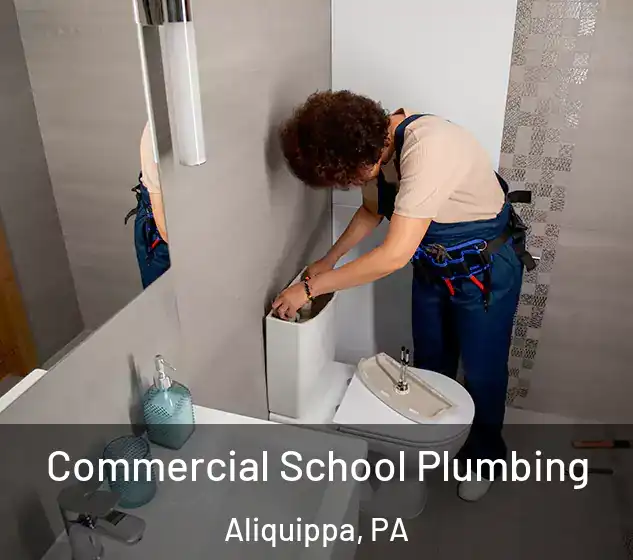  Commercial School Plumbing Aliquippa, PA