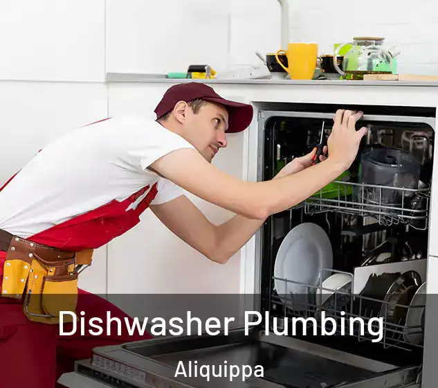  Dishwasher Plumbing Aliquippa