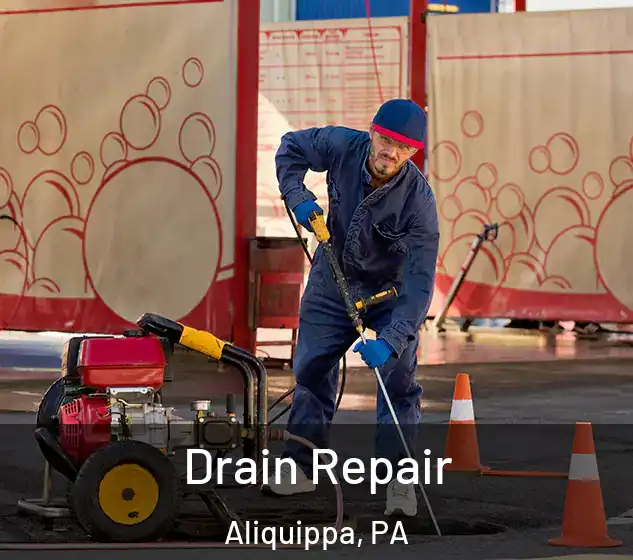  Drain Repair Aliquippa, PA