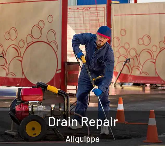  Drain Repair Aliquippa