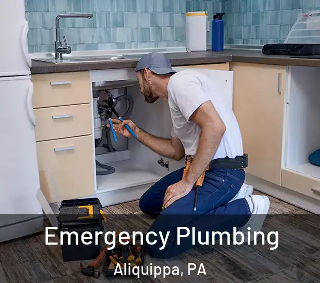  Emergency Plumbing Aliquippa, PA