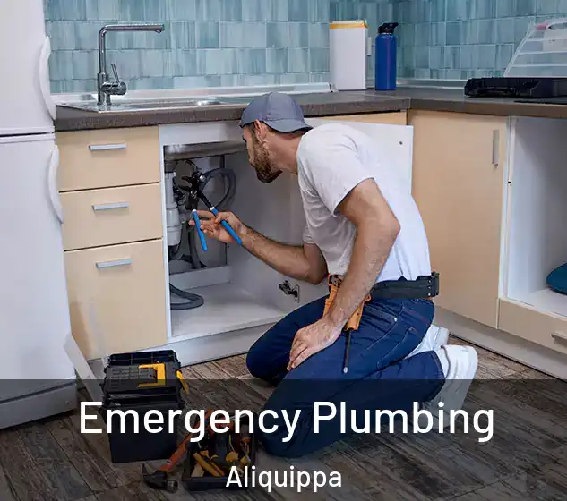  Emergency Plumbing Aliquippa