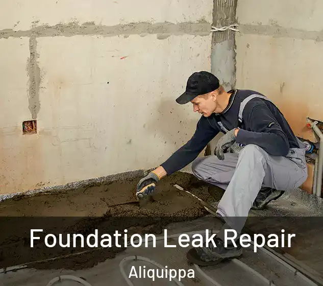  Foundation Leak Repair Aliquippa