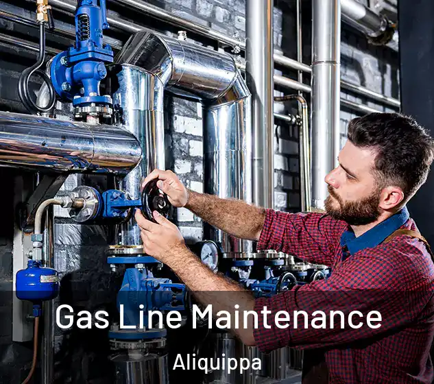  Gas Line Maintenance Aliquippa