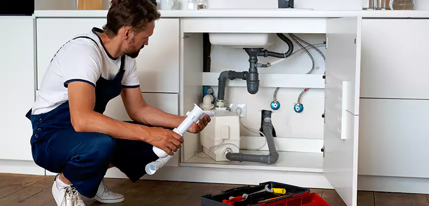 Scope of Kitchen Garbage Disposal Replacement Services in Aliquippa, PA