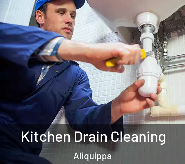  Kitchen Drain Cleaning Aliquippa