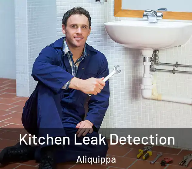  Kitchen Leak Detection Aliquippa