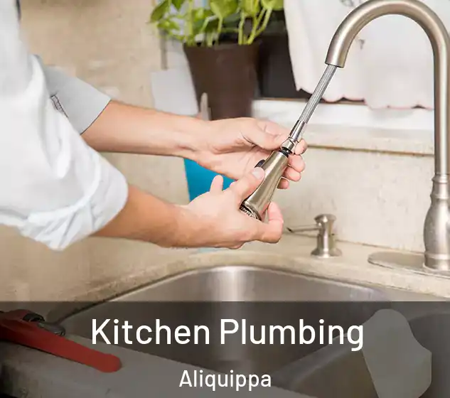  Kitchen Plumbing Aliquippa