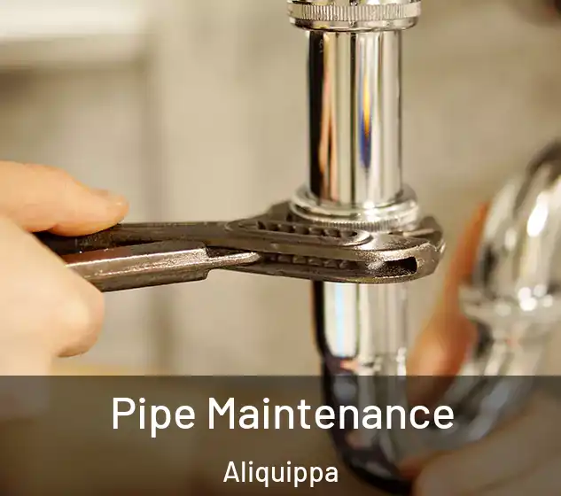  Pipe Maintenance Aliquippa