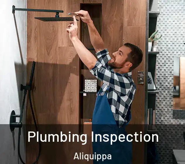  Plumbing Inspection Aliquippa