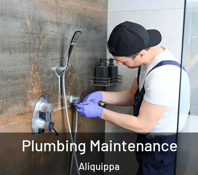  Plumbing Maintenance Aliquippa