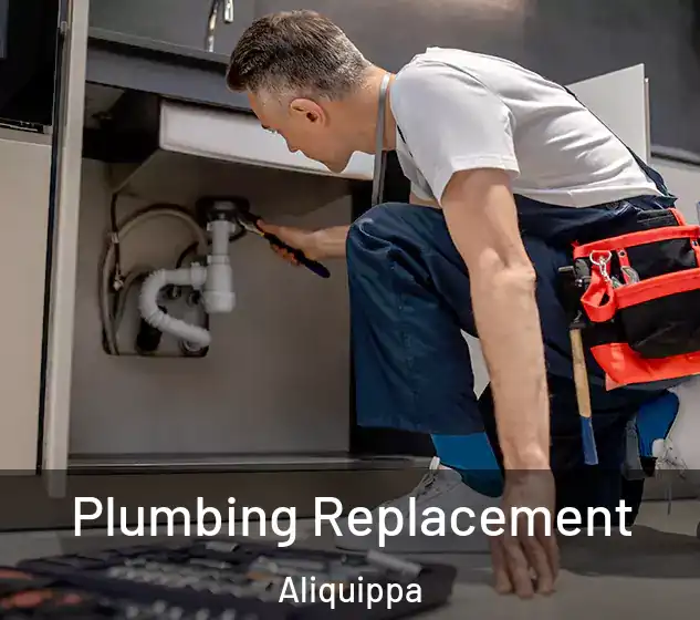  Plumbing Replacement Aliquippa