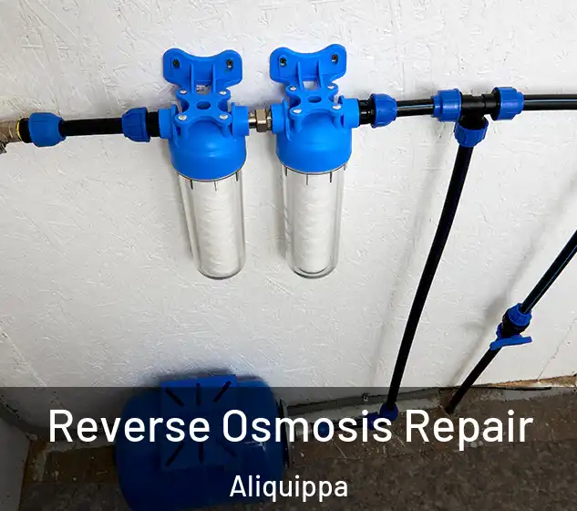  Reverse Osmosis Repair Aliquippa