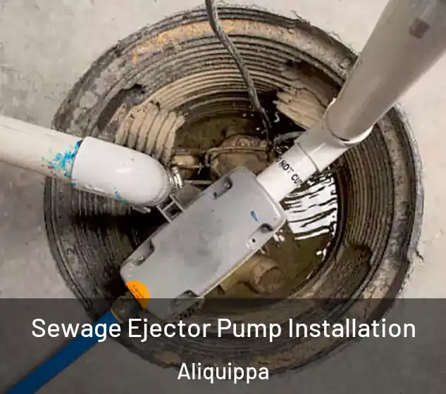  Sewage Ejector Pump Installation Aliquippa
