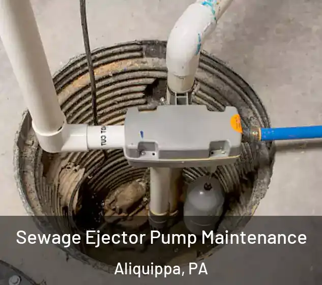  Sewage Ejector Pump Maintenance Aliquippa, PA
