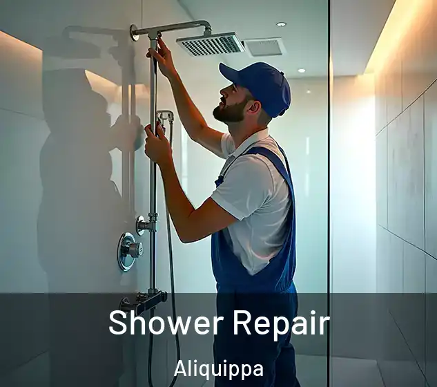  Shower Repair Aliquippa