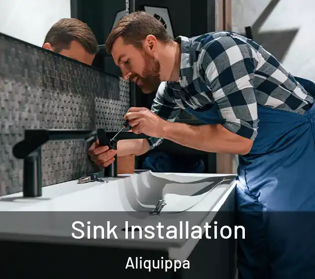  Sink Installation Aliquippa