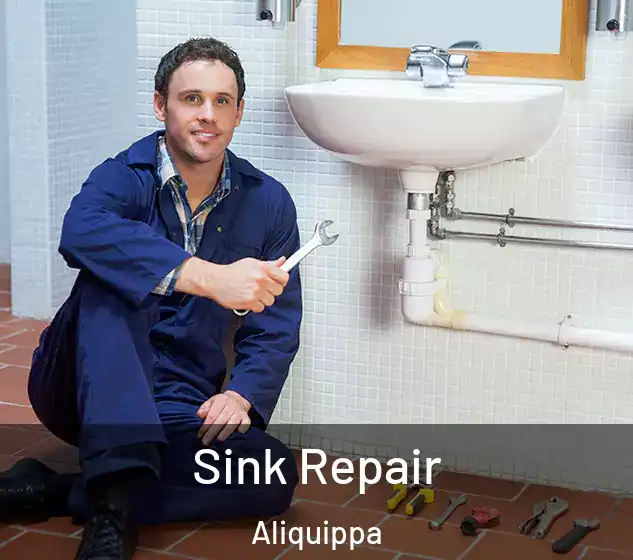  Sink Repair Aliquippa
