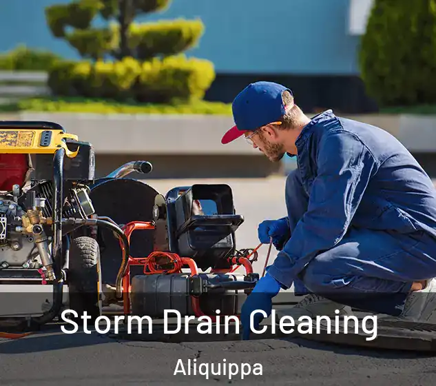  Storm Drain Cleaning Aliquippa