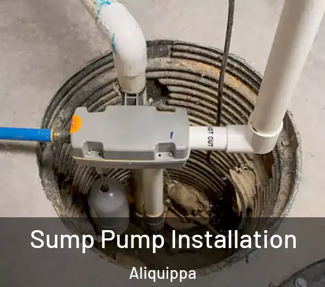  Sump Pump Installation Aliquippa