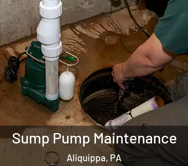  Sump Pump Maintenance Aliquippa, PA