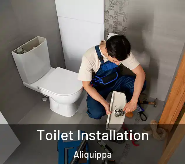  Toilet Installation Aliquippa