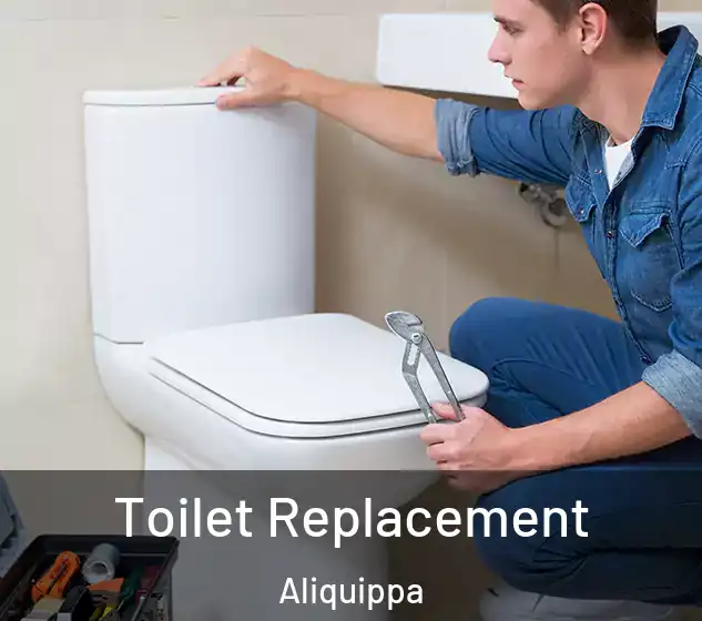  Toilet Replacement Aliquippa