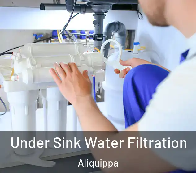  Under Sink Water Filtration Aliquippa