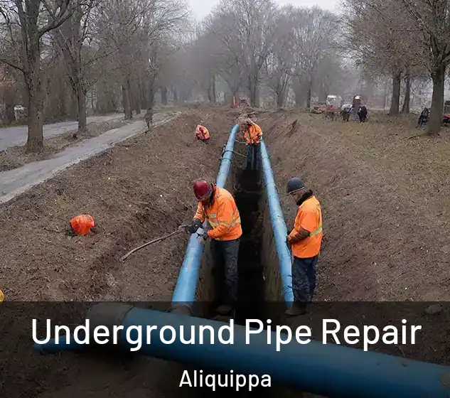  Underground Pipe Repair Aliquippa