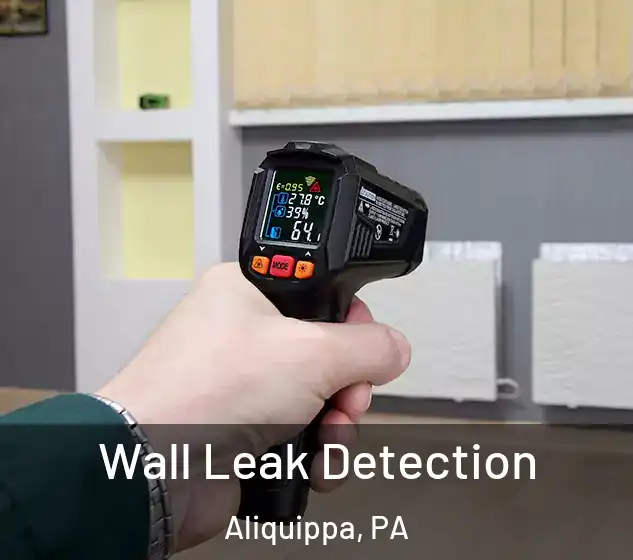  Wall Leak Detection Aliquippa, PA