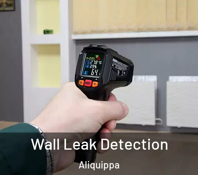  Wall Leak Detection Aliquippa