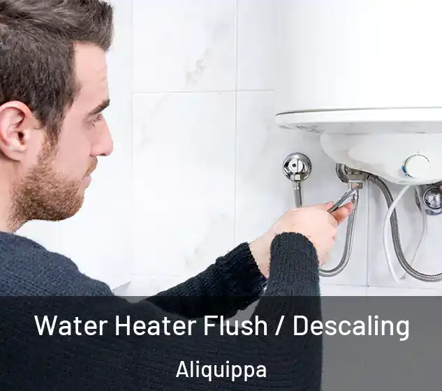 Water Heater Flush / Descaling Aliquippa