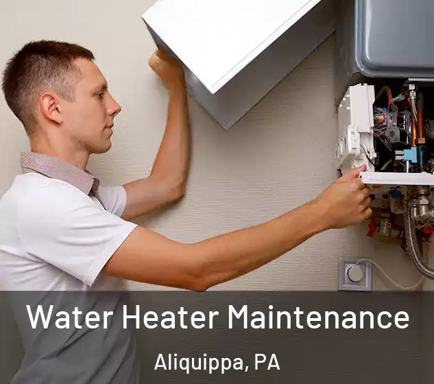  Water Heater Maintenance Aliquippa, PA