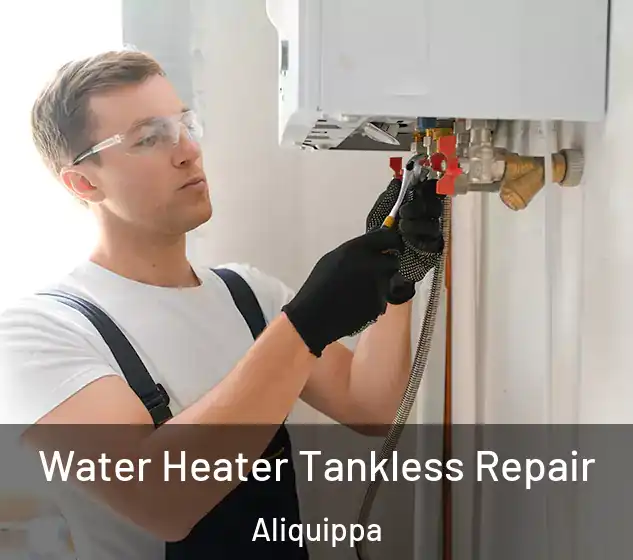  Water Heater Tankless Repair Aliquippa