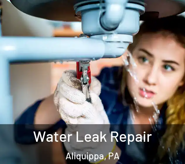  Water Leak Repair Aliquippa, PA