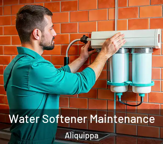  Water Softener Maintenance Aliquippa
