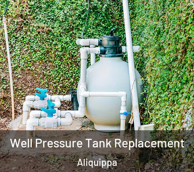  Well Pressure Tank Replacement Aliquippa