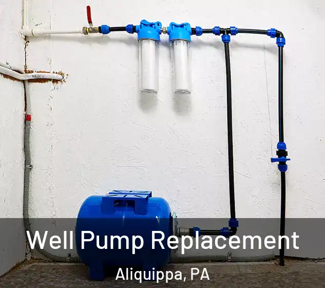  Well Pump Replacement Aliquippa, PA